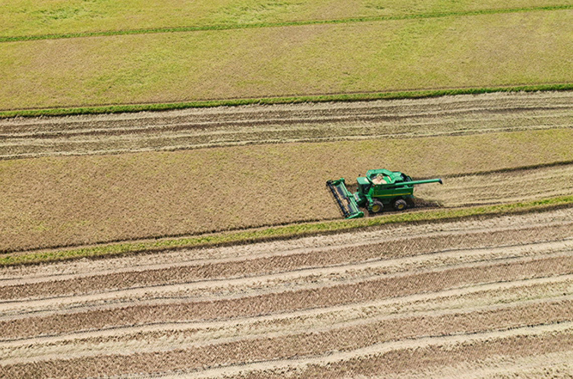 Rice harvest at a farm in Texas