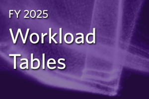 FY2025 Workload Tables
