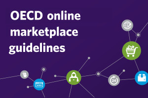 Organization for Economic Co-operation and Development online marketplace guidelines with graphics showing computer icons.