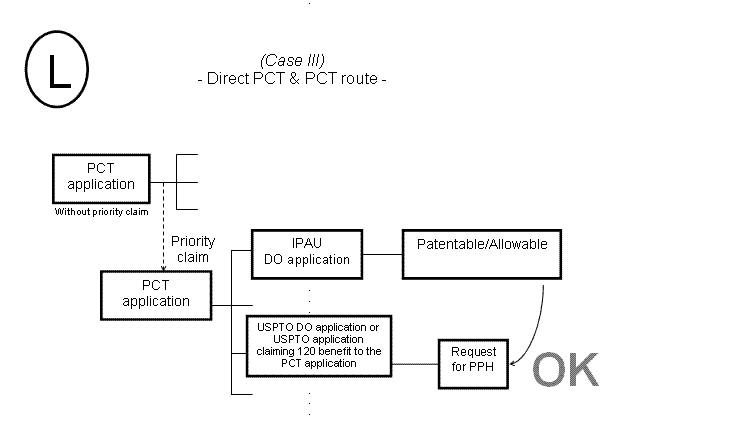 (L) Case III - Direct PCT & PCT Route -