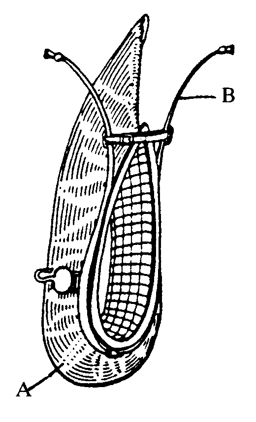 A-Collar; B-Hame
