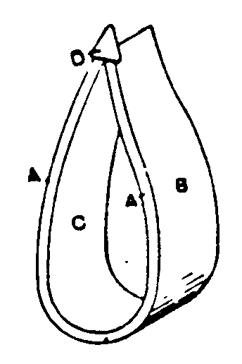 A-Forewale; B-Afterwale; C-Lining; D-Cap
