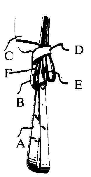 A-Stirrup; B-Stirrup strap; C-Fender; D-Belt; E-Inner strip;F-Outer strip
