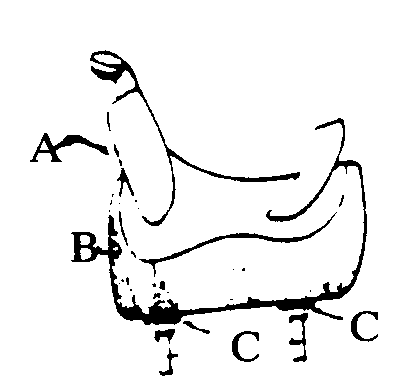 A-Saddle; B-Saddle skirt; C-Saddle rigging
