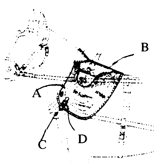 SHIELD:  A-Protective shield; B-Reinforcing piece;    C-Strap;D-Buckle
