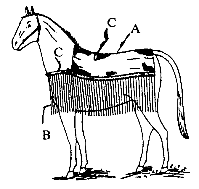 A-Body of fly net; B-Fly net strings; C-Straps
