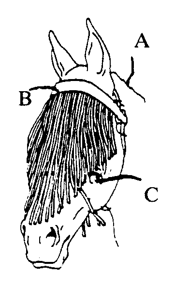 A- Horsehead; B- Brow band; C- Face guard strands
