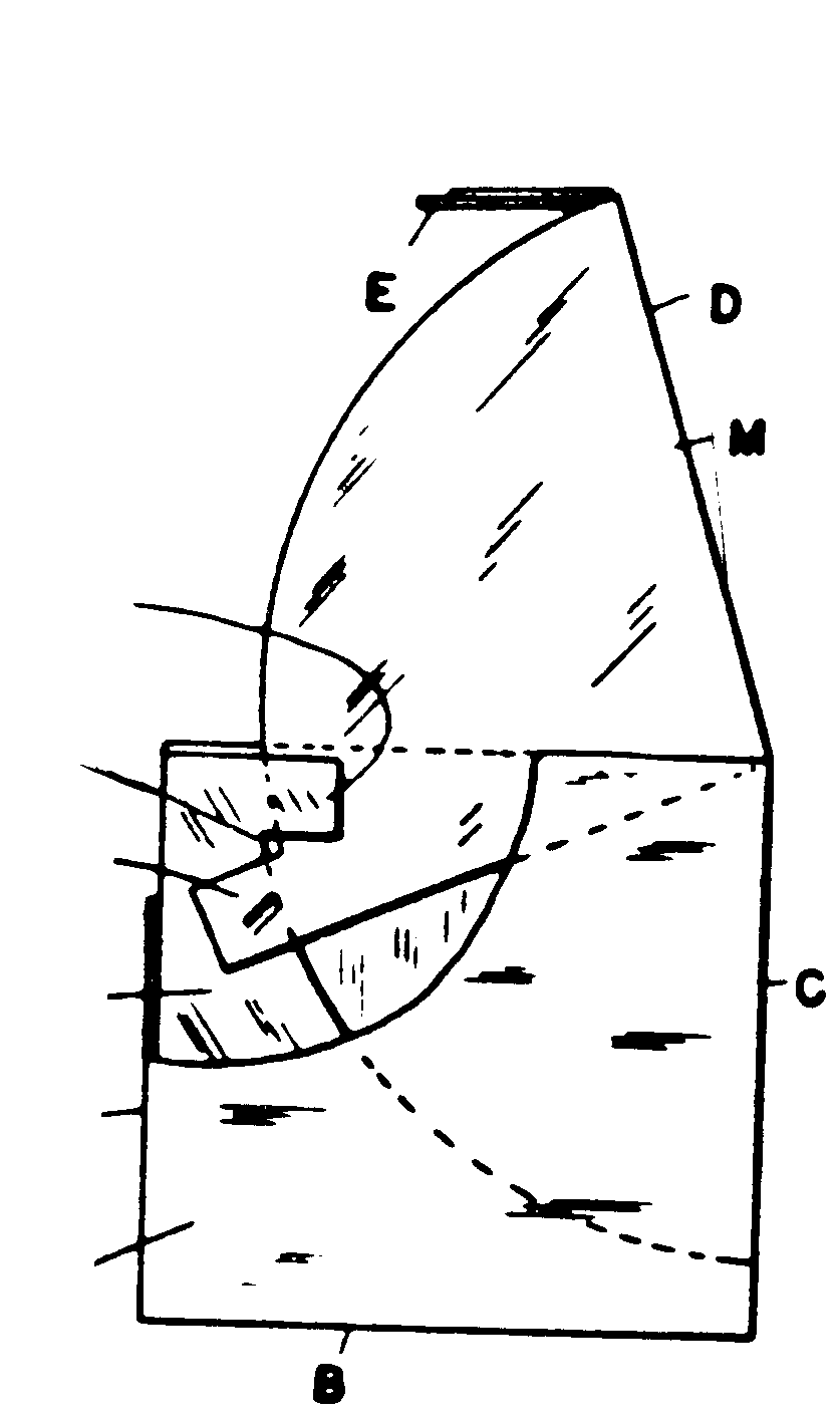 Image 1 for class 229 subclass 130