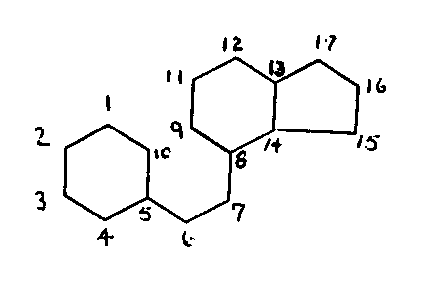 Image 1 for class 514 subclass 167