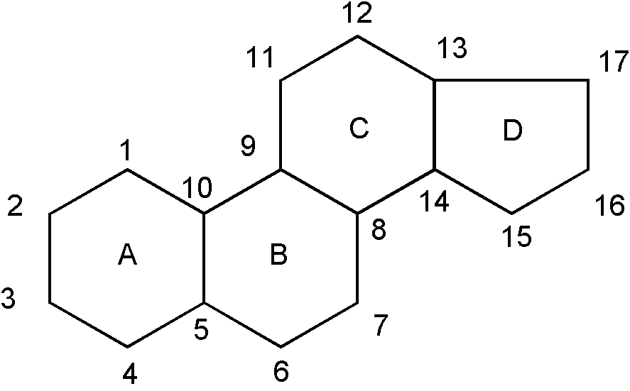 Image 1 for class 514 subclass 169