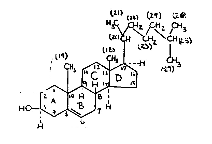 Cholestrol.
