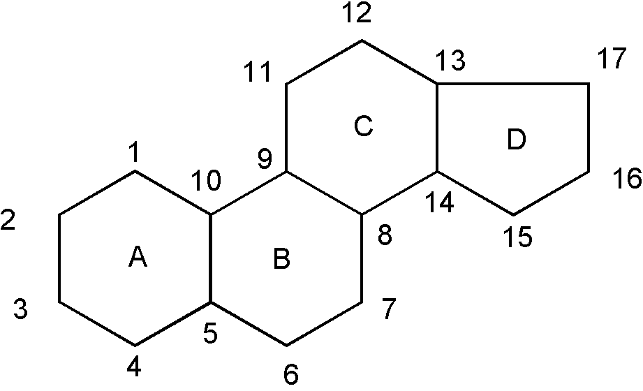 Image 1 for class 514 subclass 26