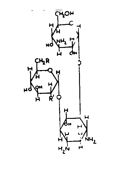 Kanosamin, deoxystreptamine
