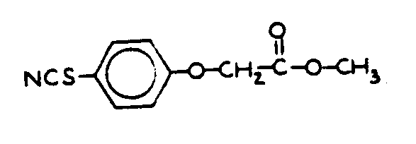 Image 1 for class 514 subclass 514