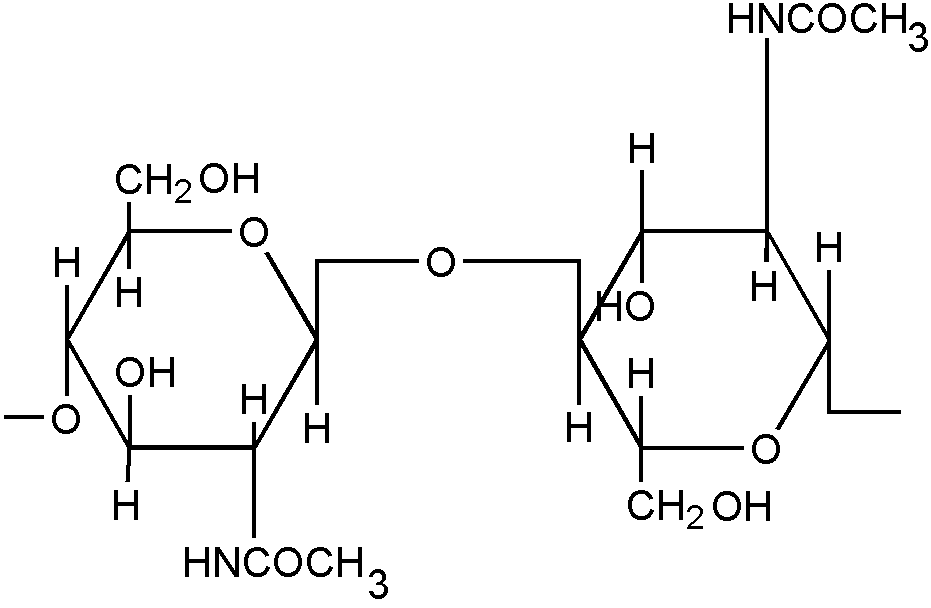 Repeating unit of chitin.
