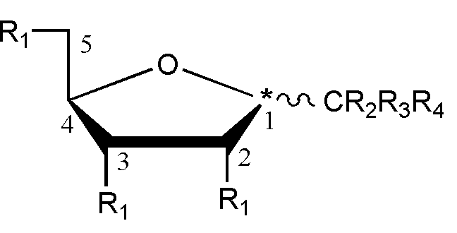 [19] n=5
