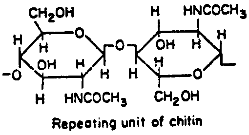 Image 1 for class 536 subclass 20