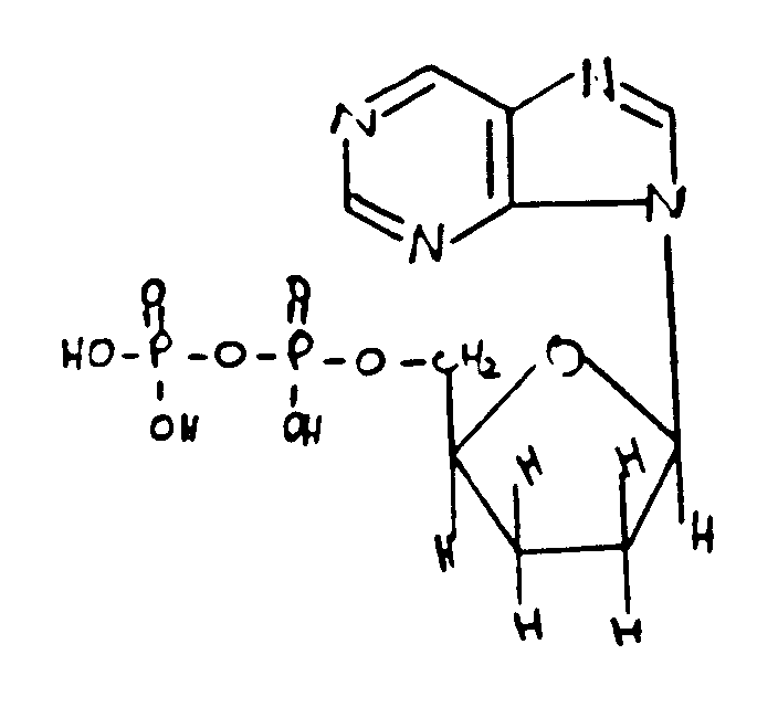 Image 1 for class 536 subclass 26.21