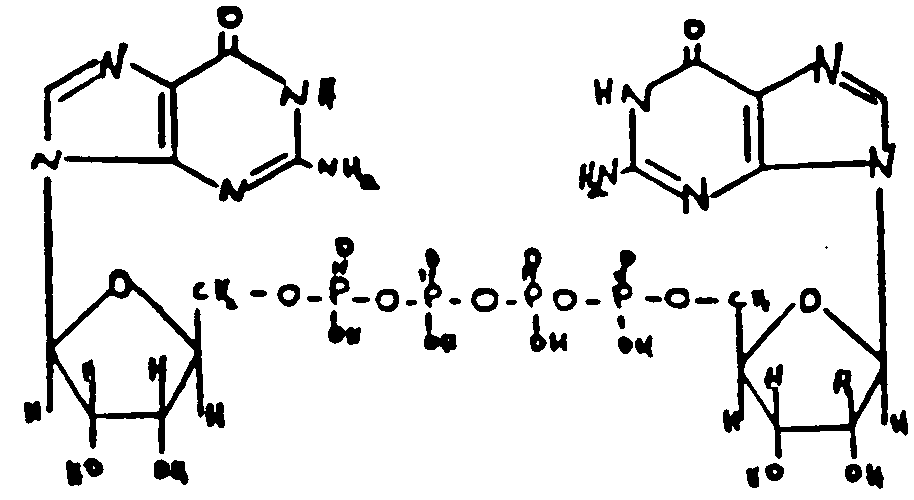 Image 2 for class 536 subclass 26.22