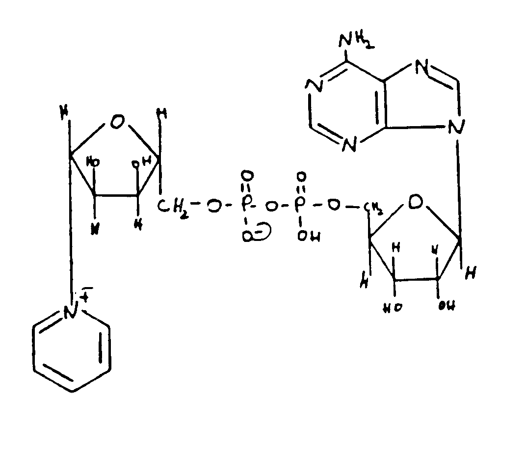 Image 1 for class 536 subclass 26.24