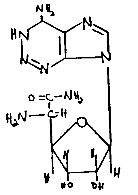 Image 2 for class 536 subclass 27.13