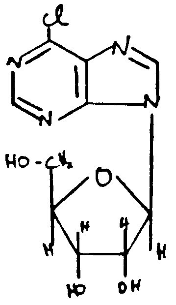 Image 2 for class 536 subclass 27.21