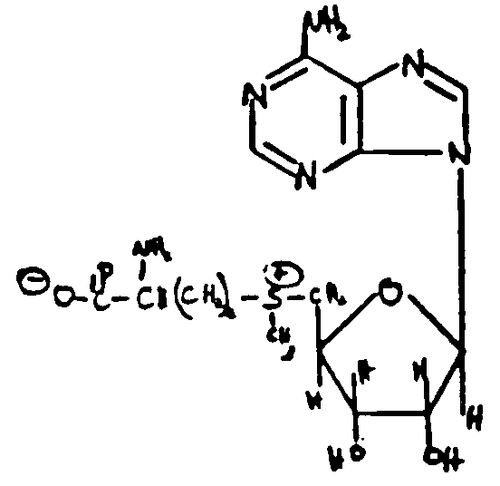 Image 1 for class 536 subclass 27.31