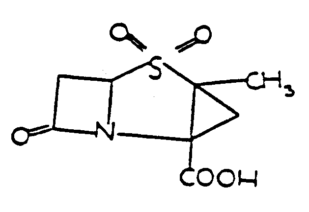 Image 1 for class 540 subclass 305