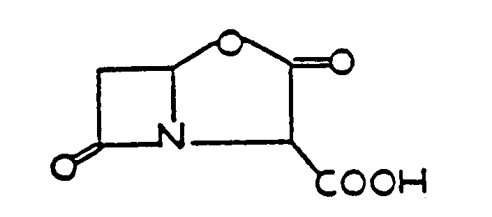 Image 2 for class 540 subclass 347