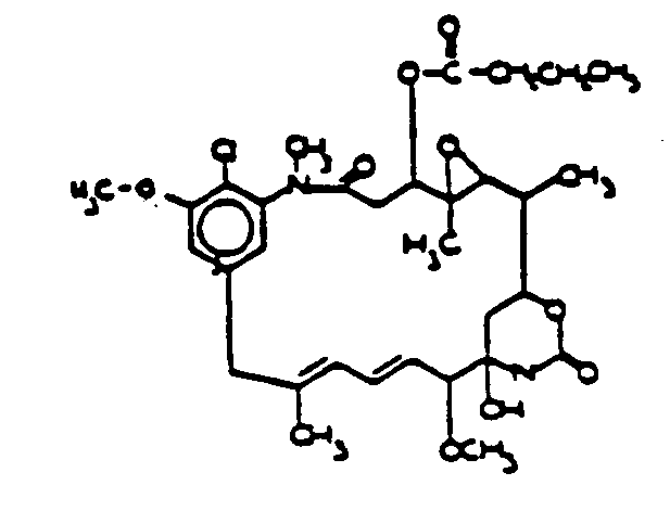 Image 1 for class 540 subclass 462