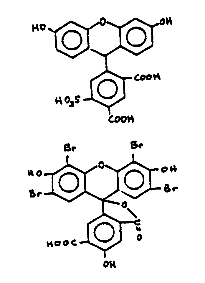 Image 2 for class 549 subclass 223