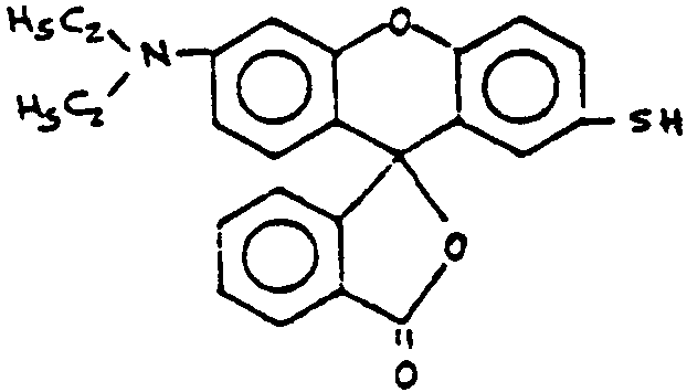 Image 1 for class 549 subclass 225