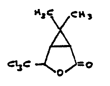 Image 2 for class 549 subclass 301