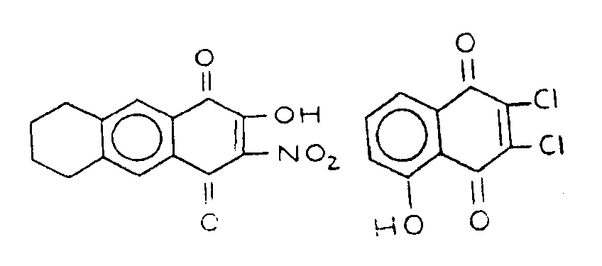 Image 1 for class 552 subclass 297