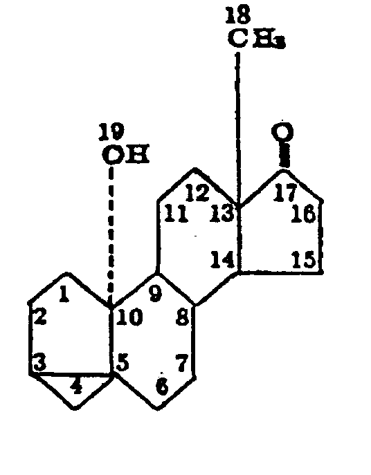 Image 1 for class 552 subclass 500