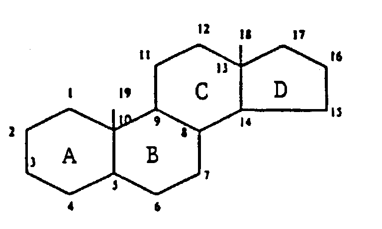 Which may contain double bonds between its ring members.
