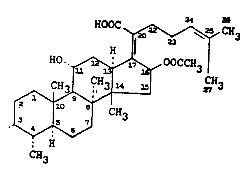 Image 1 for class 552 subclass 530