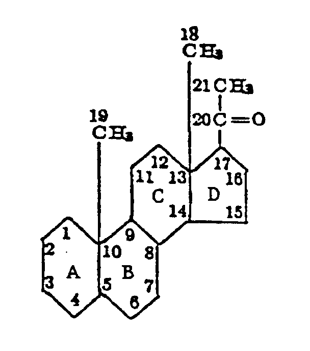 Image 1 for class 552 subclass 557