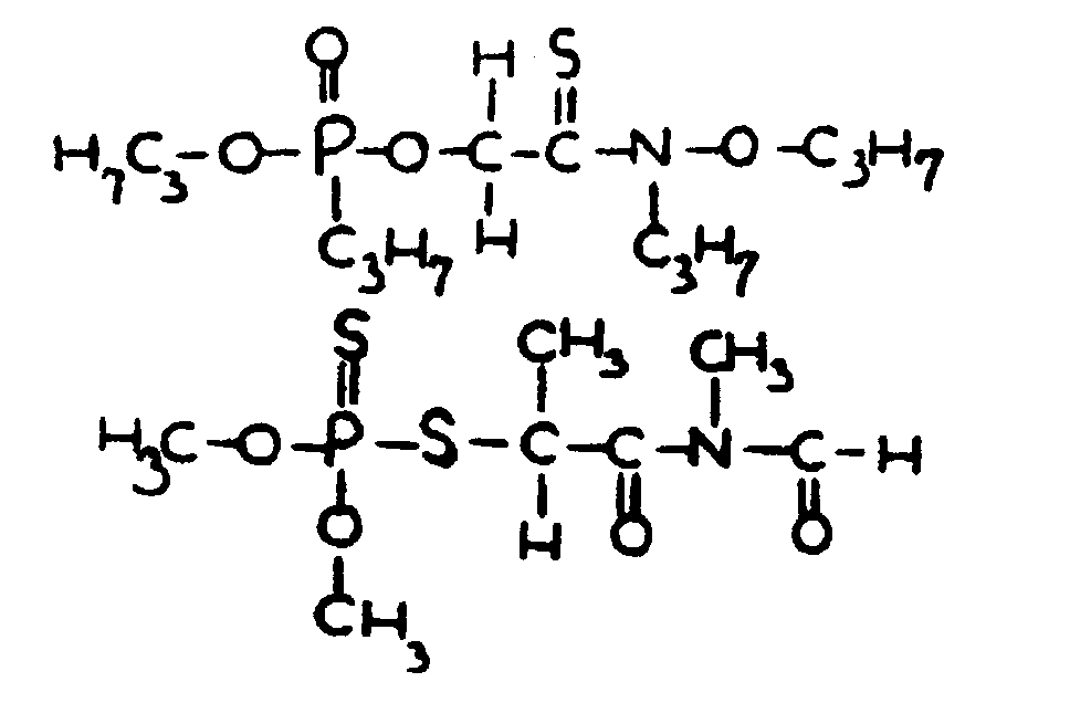 Image 1 for class 558 subclass 173