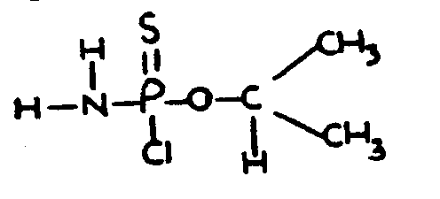 Image 1 for class 558 subclass 199