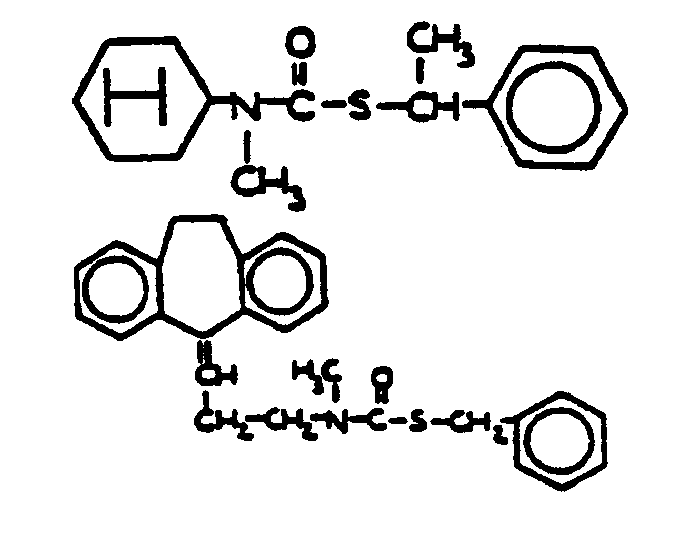 Image 1 for class 558 subclass 242