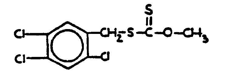 Image 1 for class 558 subclass 245