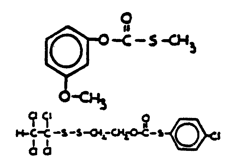 Image 1 for class 558 subclass 248