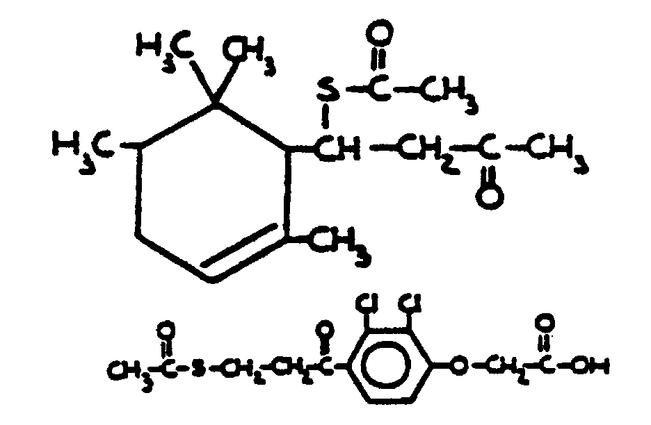 Image 1 for class 558 subclass 253