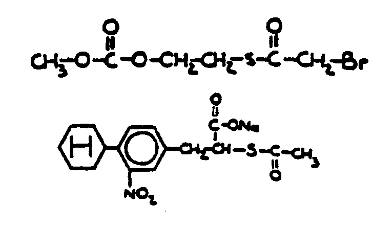 Image 1 for class 558 subclass 255