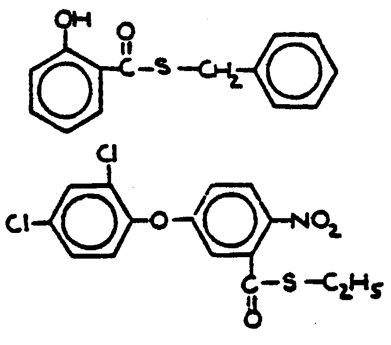 Image 1 for class 558 subclass 257