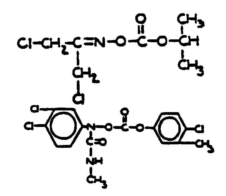 Image 1 for class 558 subclass 262