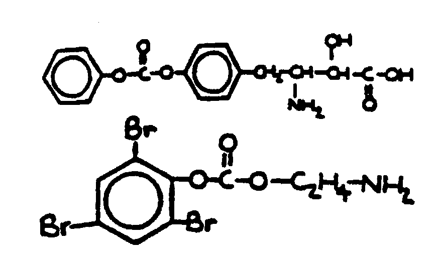 Image 1 for class 558 subclass 273