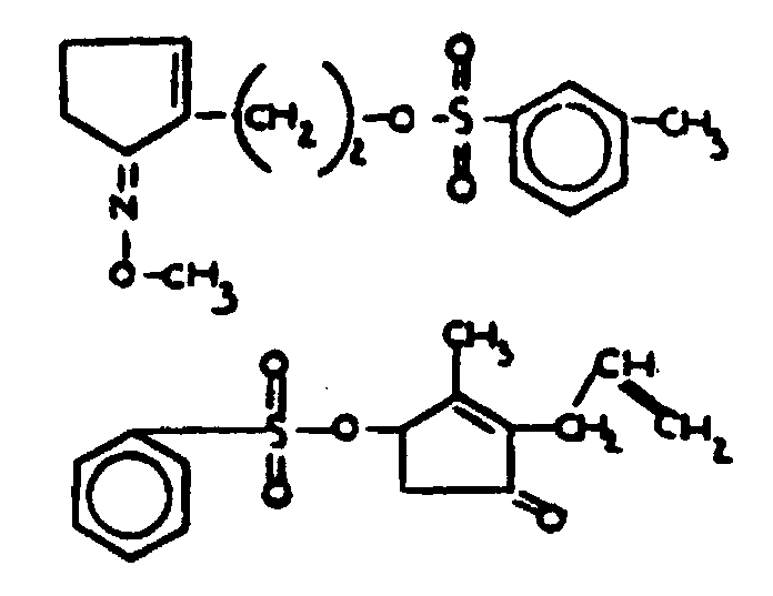 Image 1 for class 558 subclass 57