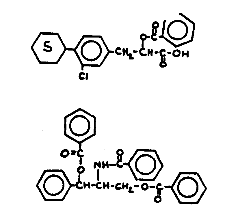 Image 1 for class 560 subclass 107